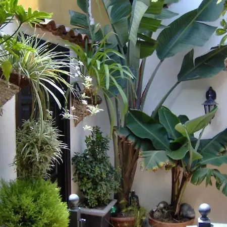 شقة Fuer 2 Personen Ca- 45 M² In Icod De Vinos- Teneriffa - Nordkueste Von Te By Interhome