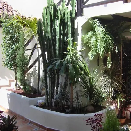 شقة Fuer 2 Personen Ca- 45 M² In Icod De Vinos- Teneriffa - Nordkueste Von Te By Interhome