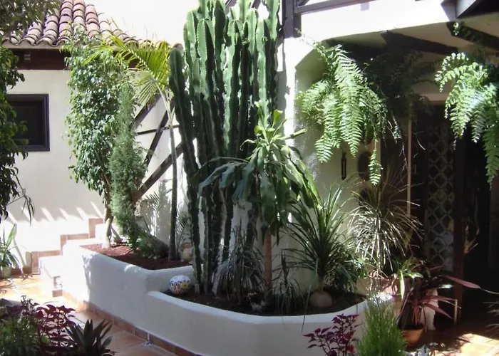 Apartament Fuer 2 Personen Ca- 45 M² In Icod De Vinos- Teneriffa - Nordkueste Von Te By Interhome